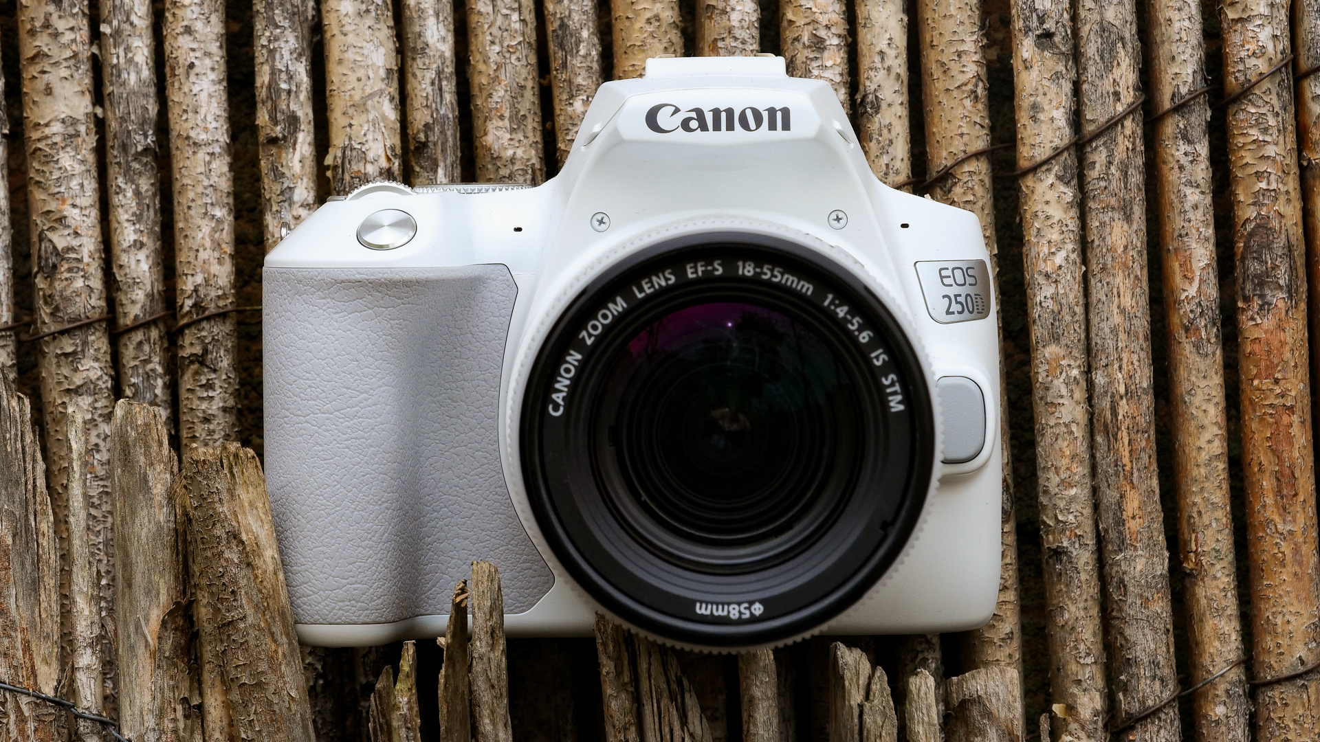 Canon EOS Rebel SL3 / EOS 250D review