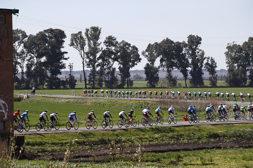 The peloton is strong out during stage 3 at Tirreno-Adriatico