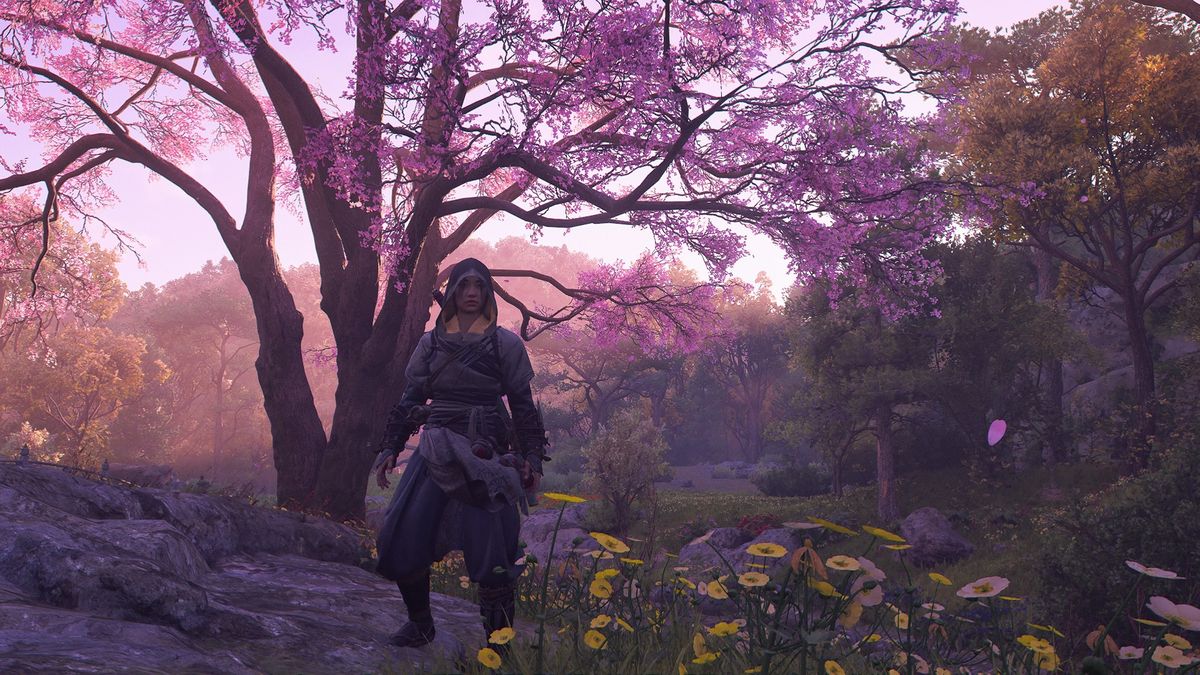 Assassin&#039;s Creed Shadows screenshot of Naoe wearing a hood and standing below a cherry blossom tree