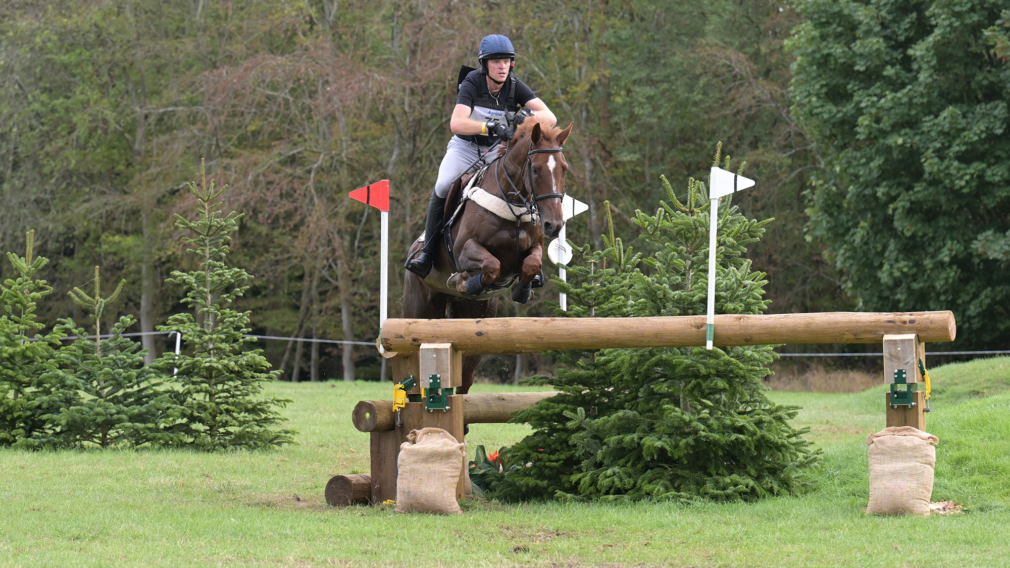 Sam Ecroyd, a rider in a blue top and hat, steers chestnut horse Jackpot over a corner fence on the cross-country at Blenheim Horse Trials 2026