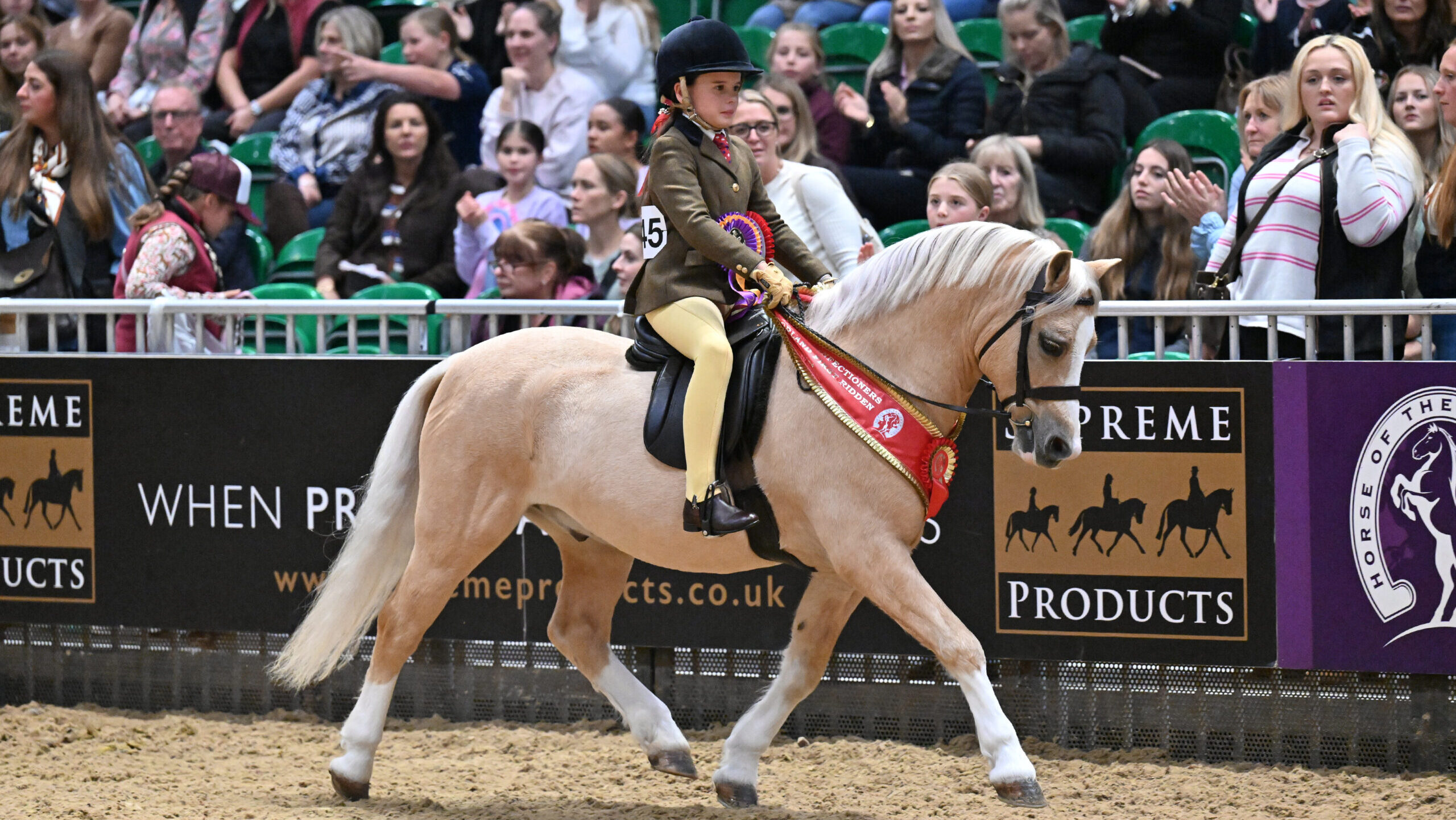 Wernderris Charlie Fox and Jemima Makin-Jones are M&amp;amp;M mini champions at HOYS 2025