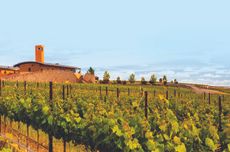 Italy & America winemaking partnerships