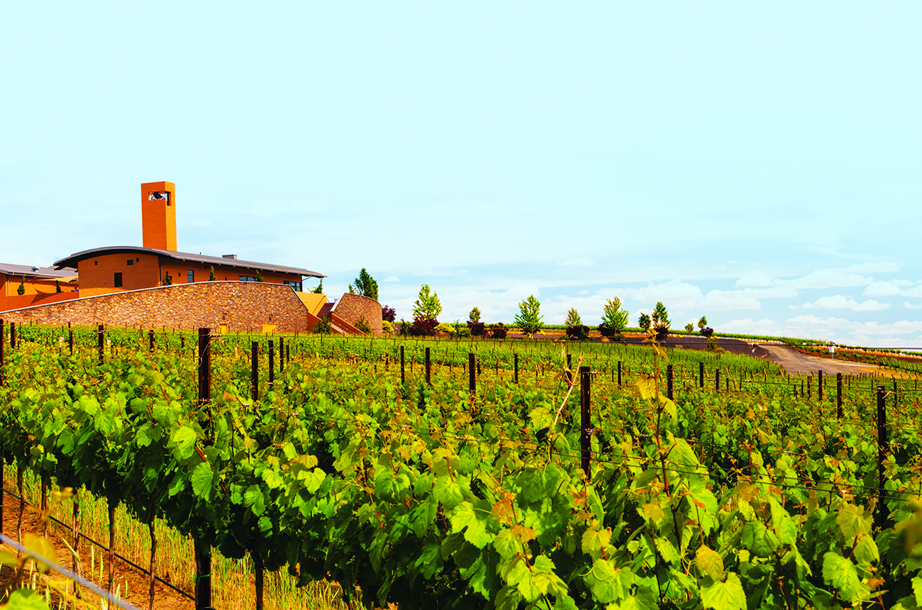 Italy &amp; America winemaking partnerships