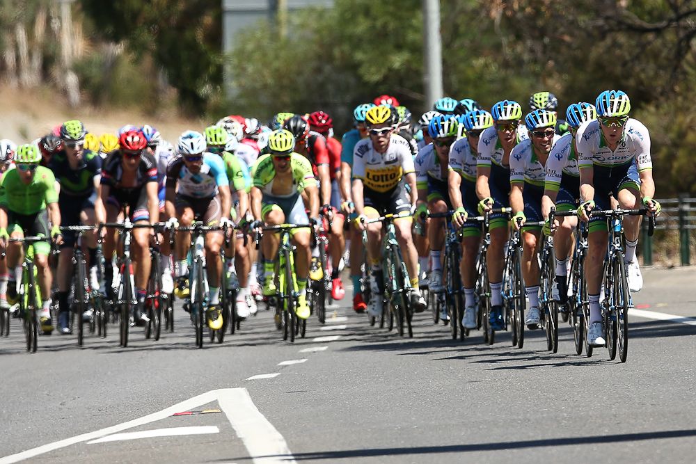 The peloton in action during stage 2 of the Tour Down Under.