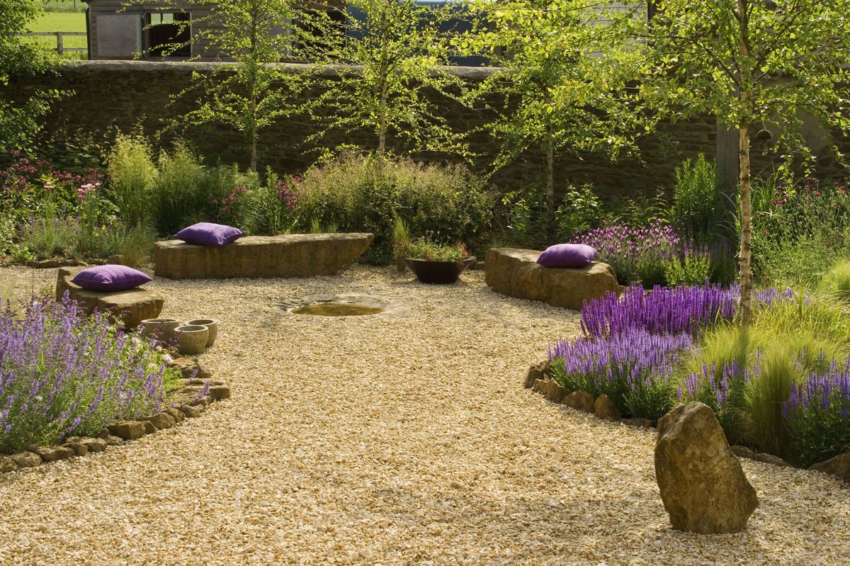 a garden with lavender plants and a gravel base