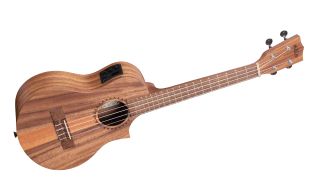 Best beginner ukuleles: Kala Teak Tritop