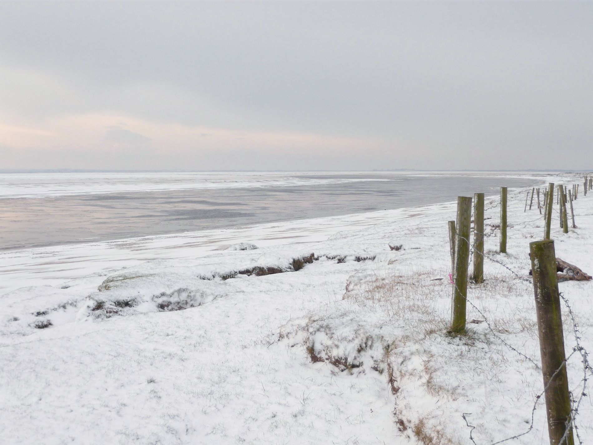 GuruShots - February 2026