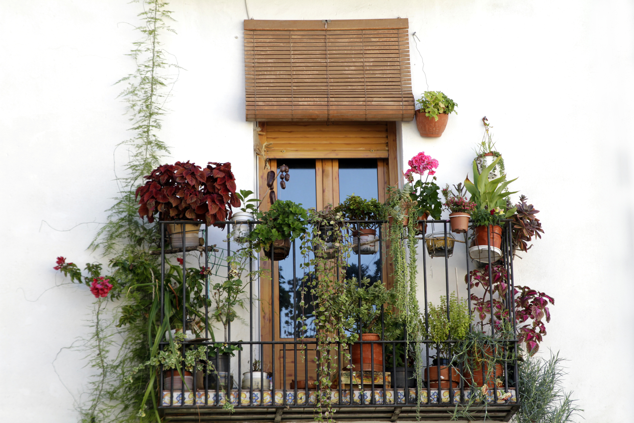 Balcony with wooden blinds for boho look