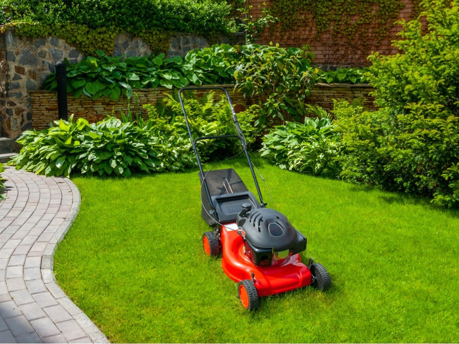 Lawn Mowing & Maintenance