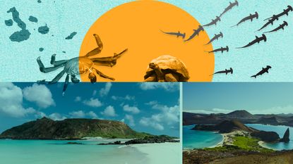 Visiting the Galapagos Islands: What You Should Know : South America :  Travel Channel, South and Central America Destinations and Guides 