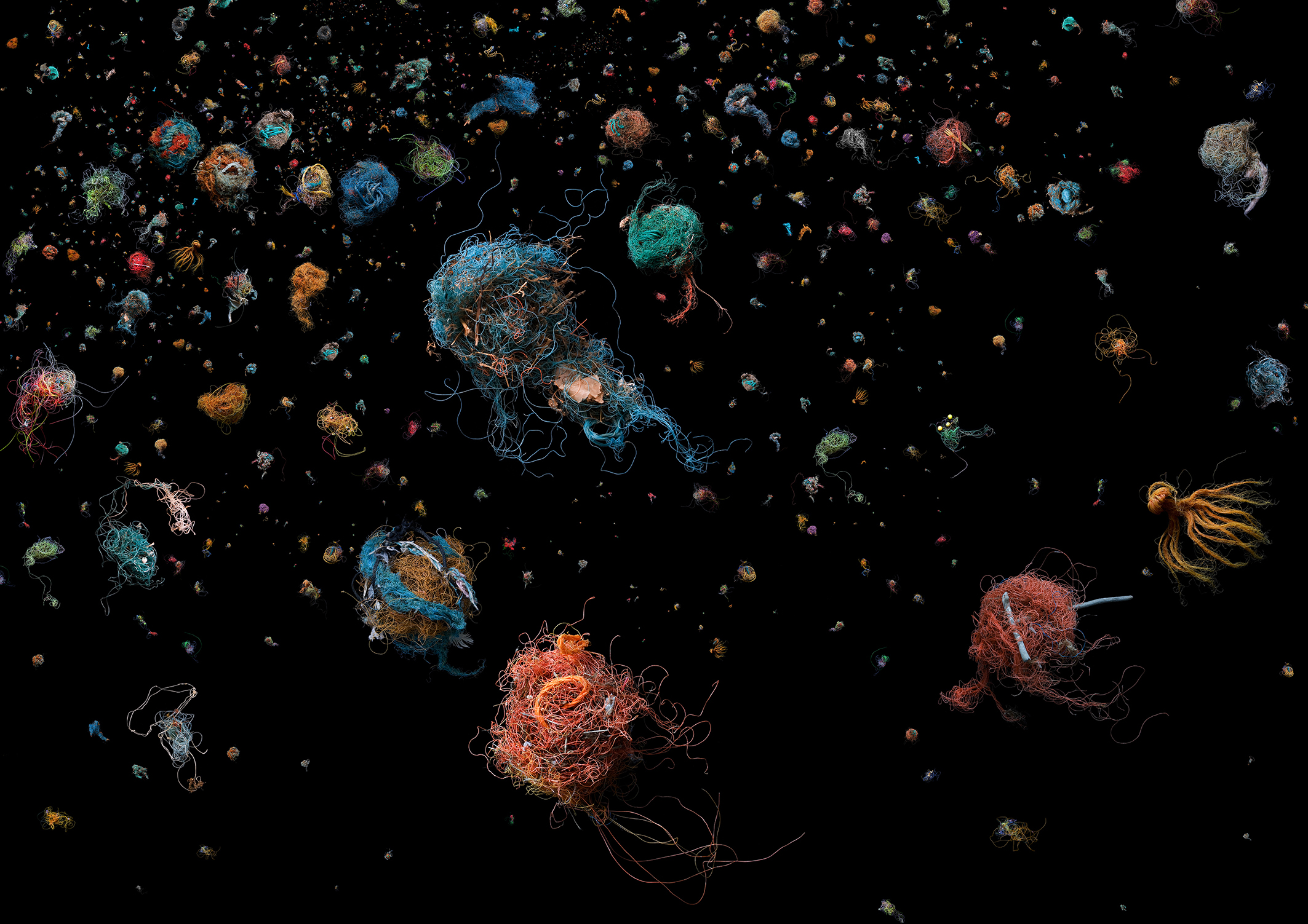 A vibrant, colorful arrangement of abstract, floating jellyfish-like shapes against a black background, resembling cosmic entities