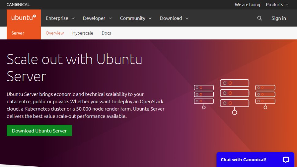 Capture d'écran du site web pour Ubuntu Server
