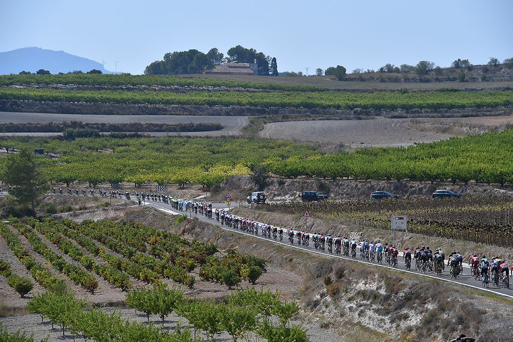 The peloton in action during stage 18 at the Vuelta.