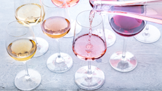 Different glasses of red and white wine