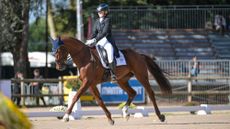 Pau Horse Trials dressage phase, Abigail Long and Henton Audacious
