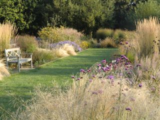 large garden with lawn bordered by wide flowerbeds filled with ornamental grasses