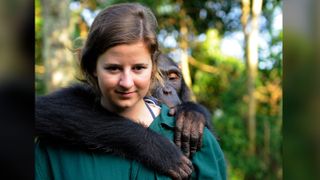 A female chimp receiving a piggy-back from her handler. The rescued chimp is being rehabilitated for release into the wild.