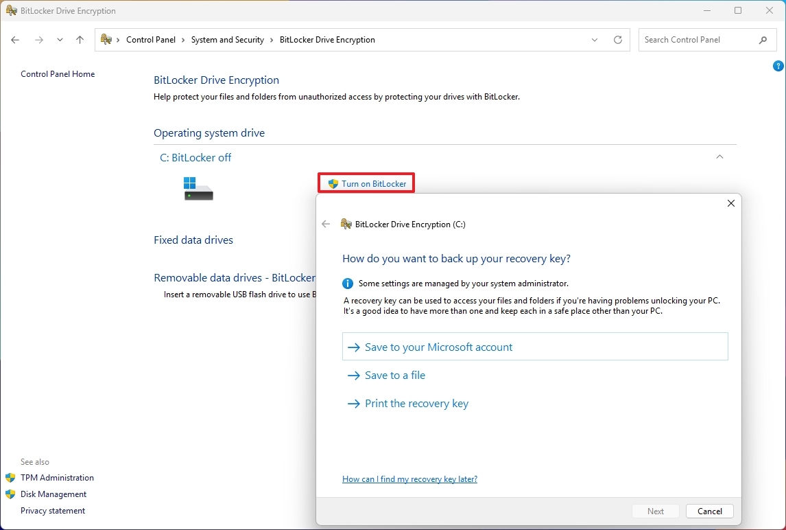 Windows 11 Pro enable BitLocker