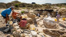 We see six people in a rocky area with excavated fossils on the ground and covered in plaster blocks.
