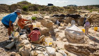 We see six people in a rocky area with excavated fossils on the ground and covered in plaster blocks.