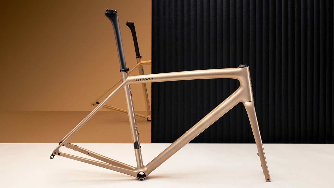 Specialized Sagan Collection Disruption