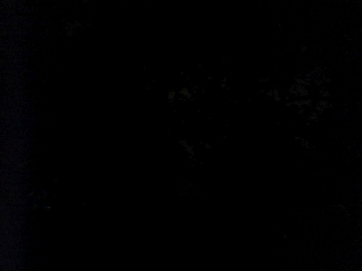 Punkt MC02 Phone low light sample.