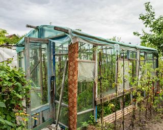 Construction of a greenhouse in the garden from scrap materials