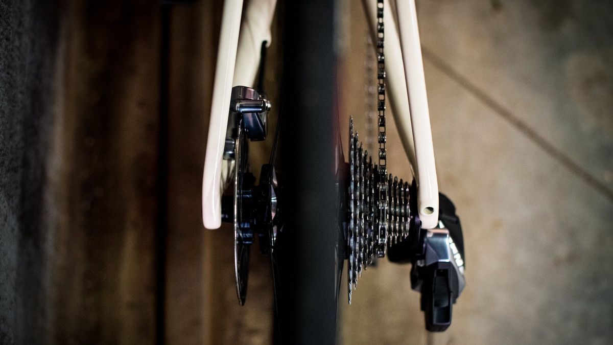 Team SD Worx Specialized Roubaix
