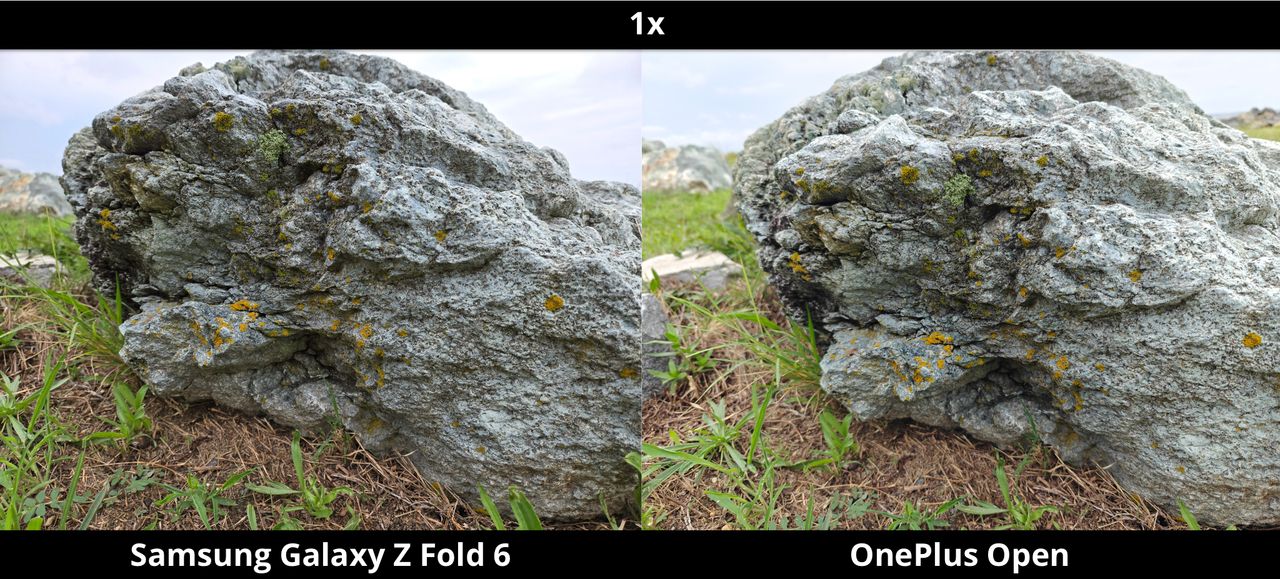 Galaxy Z Fold 6 vs. OnePlus Open - Mossy Rock