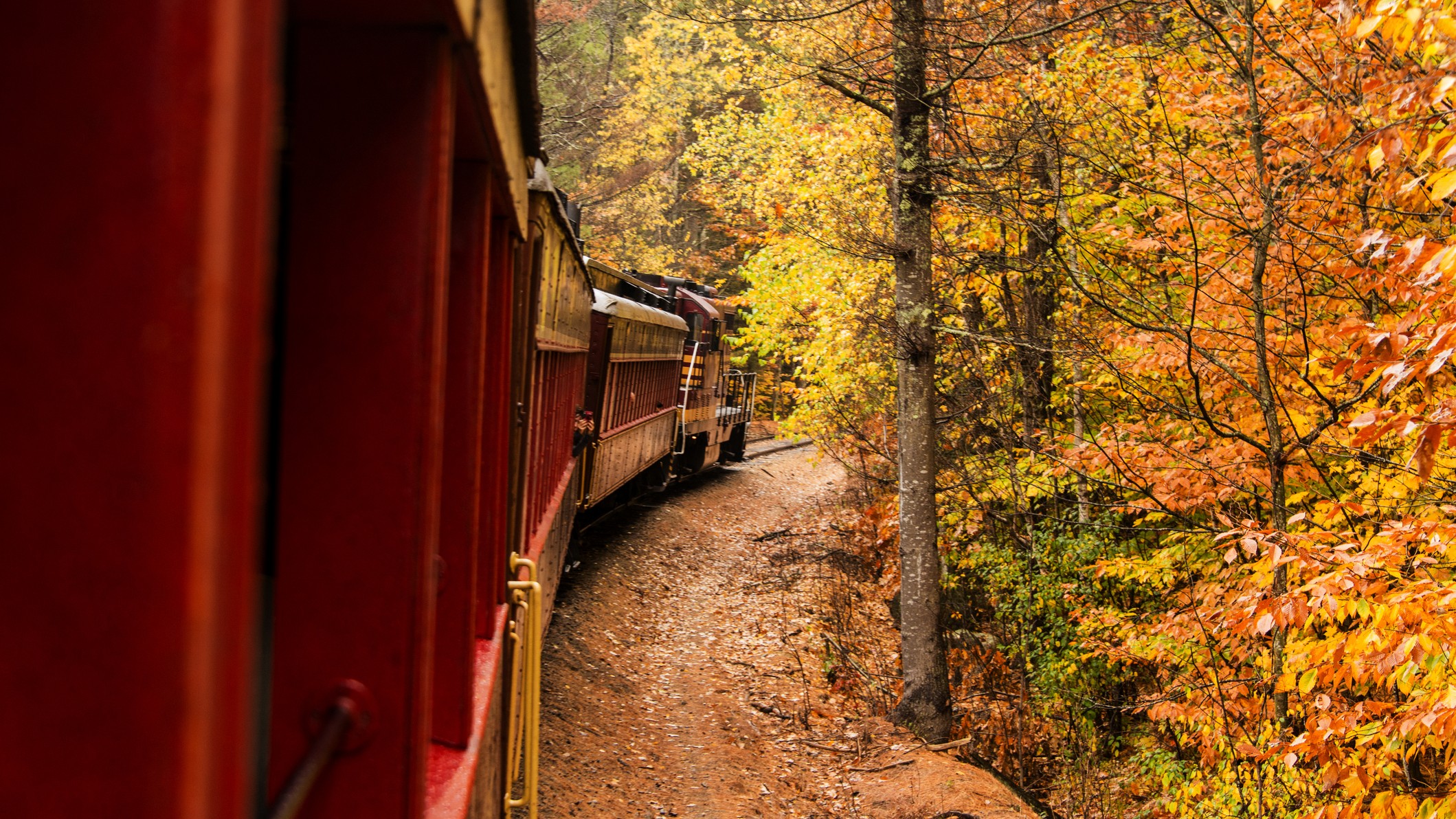 A colorful train winds through fall foliage.