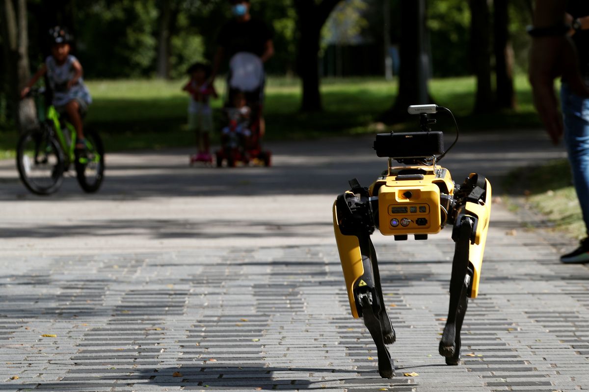 This robotic 'dog' enforces social distancing The Week