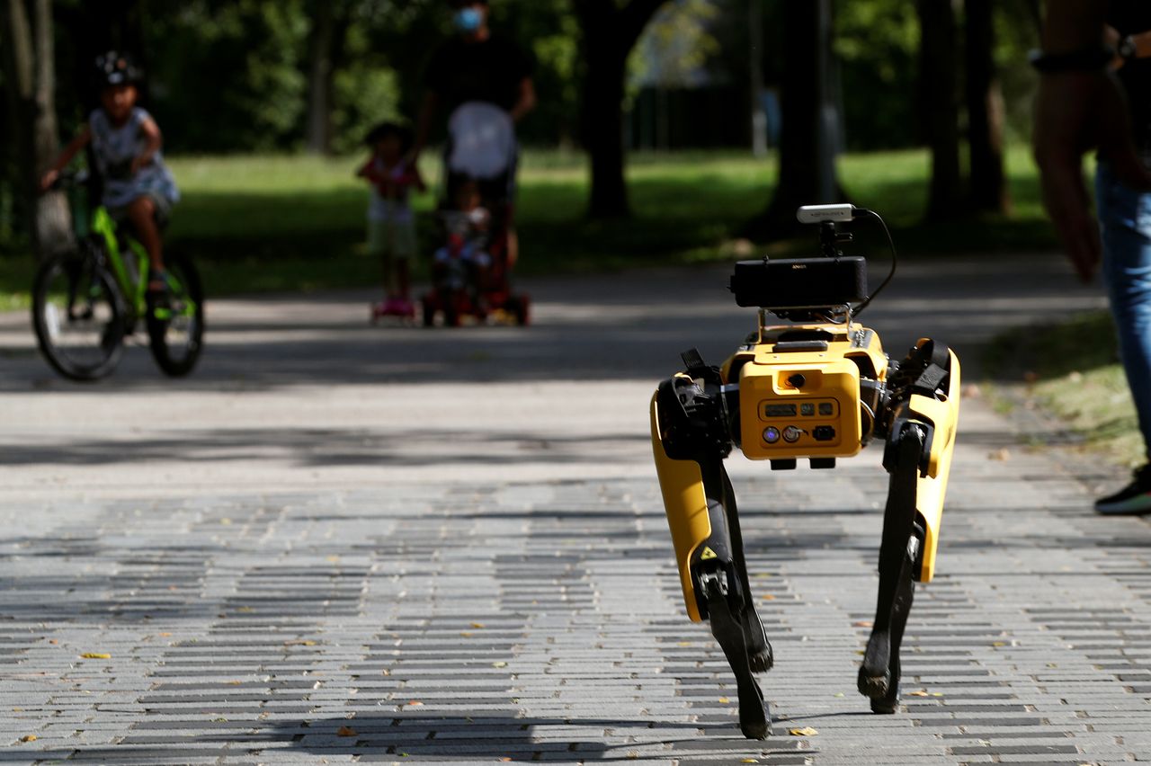 A robotic dog.