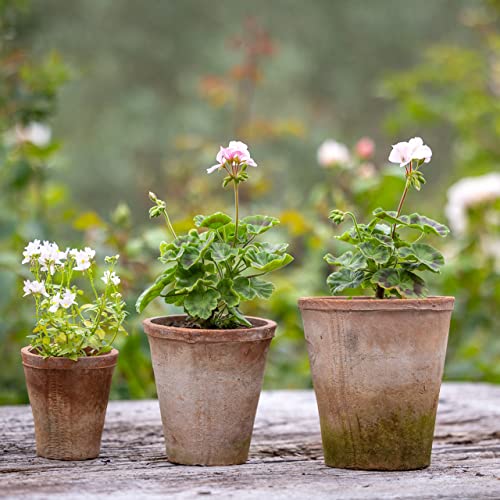 Home Deco London Aged Round Terracotta Plant Pots Set of Rustic Planters Suitable for Outdoors Ideal for Herbs