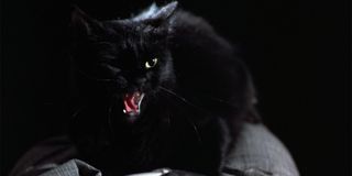 Tales From The Darkside: The Movie The Cat From Hell cat hisses