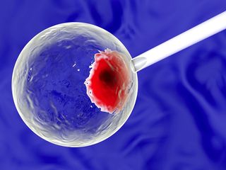 A needle injects material into a cell