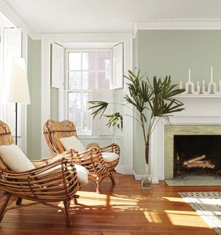 Living room with pale green walls