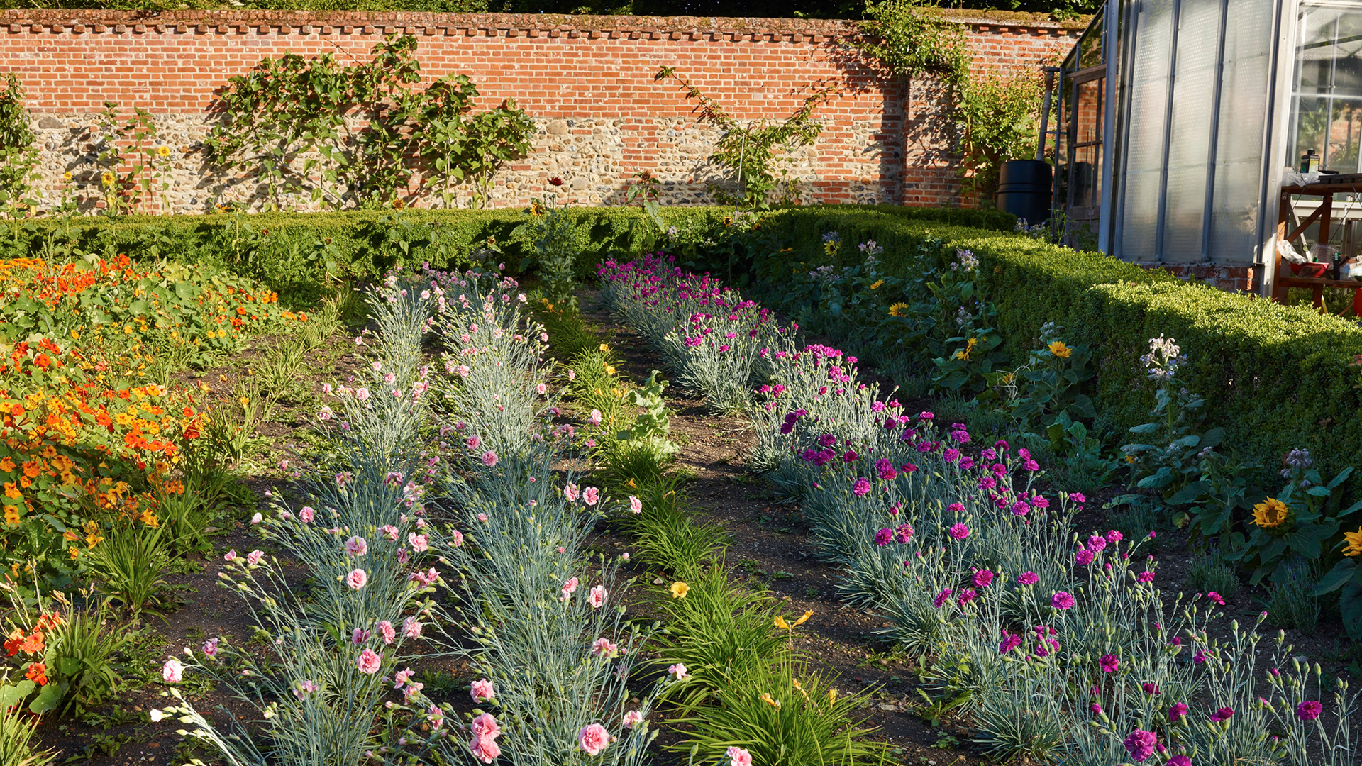Flower beds in a walled garden in the autumn sunshine