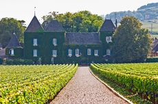 Clos de la Commaraine.