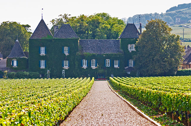 Clos de la Commaraine.