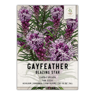 A sachet of blazing star flower seeds