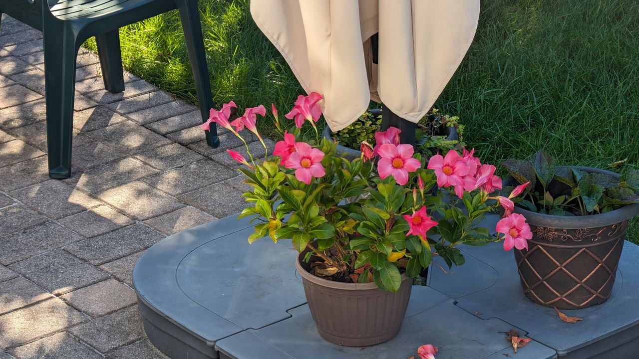 Pixel 8 Pro iPhone 15 Pro Max 5X challenge