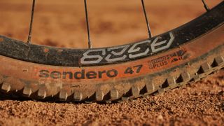 Gravel bike tire on dry trail