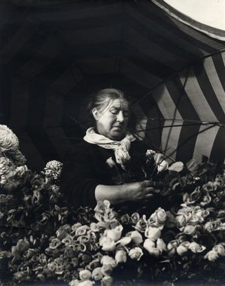 Black and white photograph of a woman picking flowers for a bunch while holding an open umbrella behind her.
