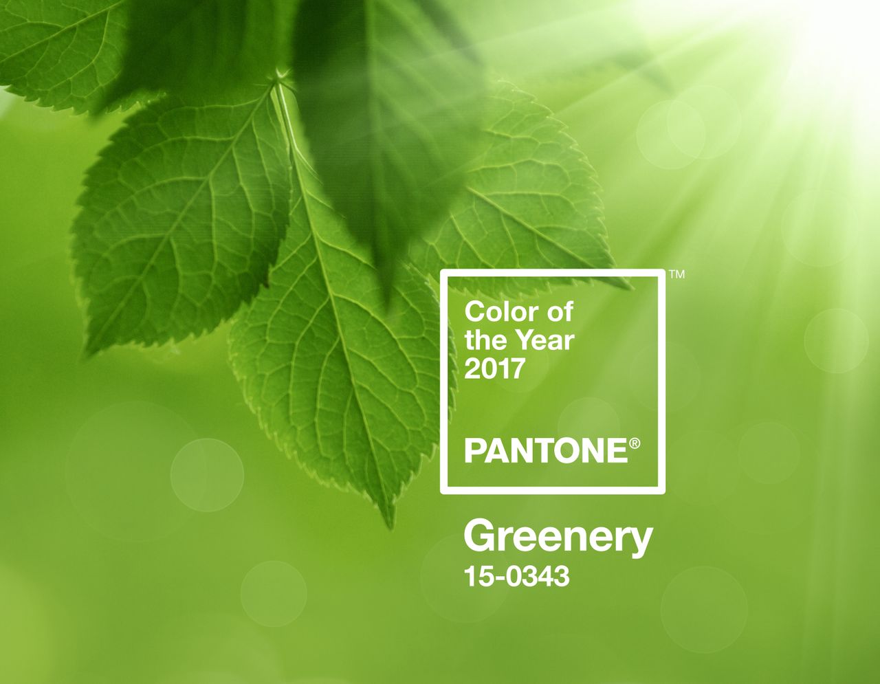 This colour is associated with health and well-being