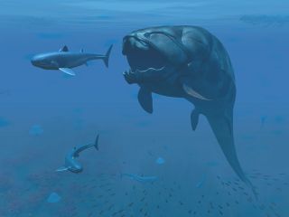 Dunkleosteus chasing fish