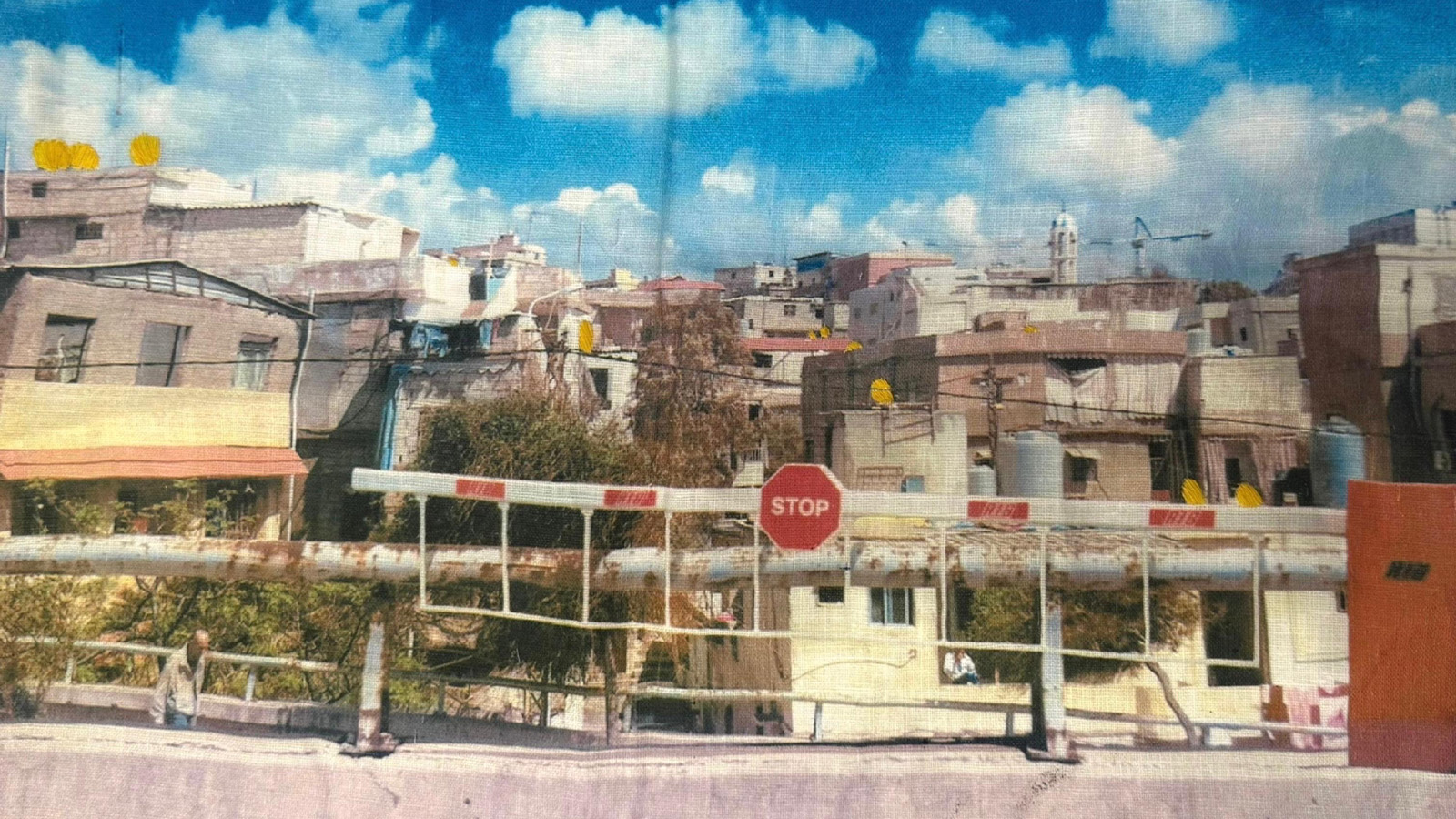 Courtesy of Aya Haider , Palestine