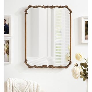 Kate and Laurel Brazelton Rounded Rectangle Ornate Traditional Mirror