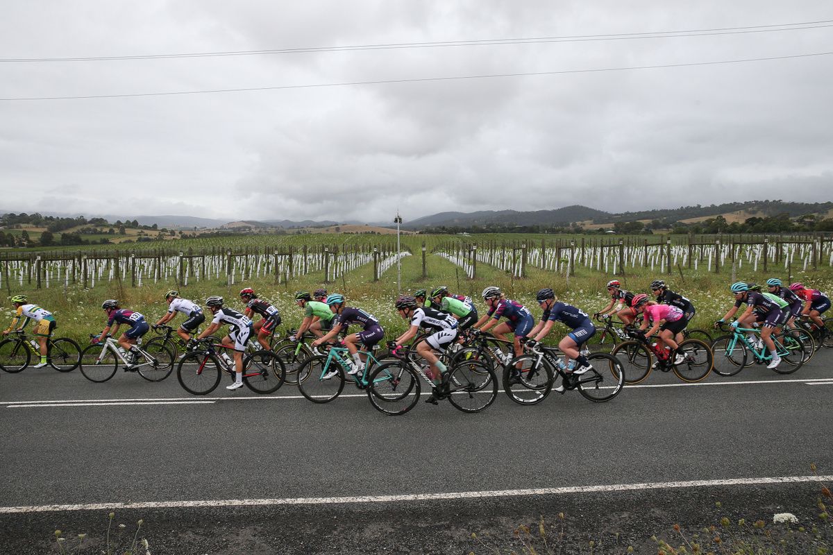 Riding past Victorian vineyards
