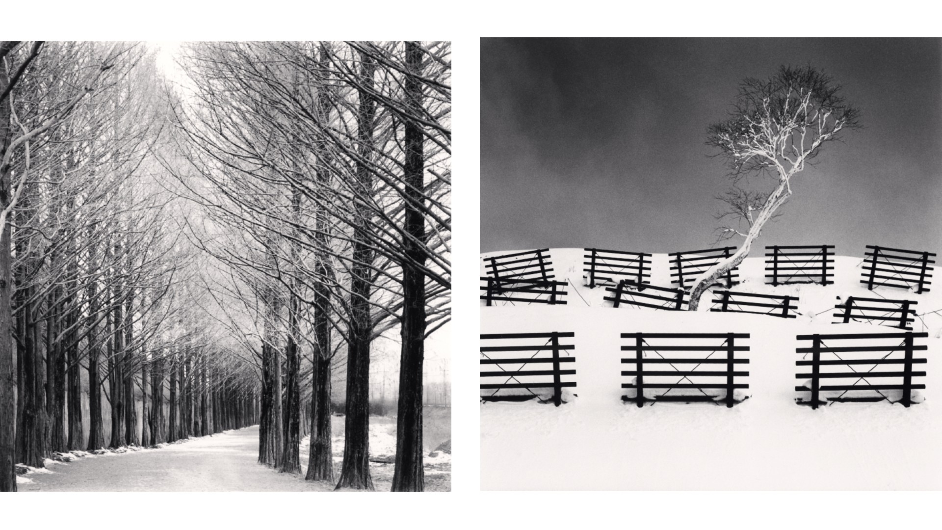 A black and white diptych where the left image shows a road lined on both sides by tall, bare trees, and the right image features a small, white-canopied tree on a snowy hill surrounded by dark, horizontal wooden fences.