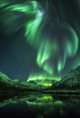 "The vivid green Northern Lights resemble a bird soaring over open water in Olderdalen, Norway."